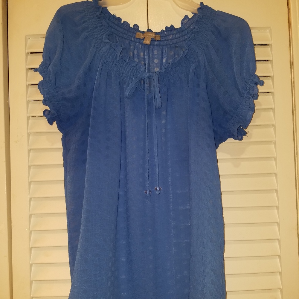 Blue sheer top